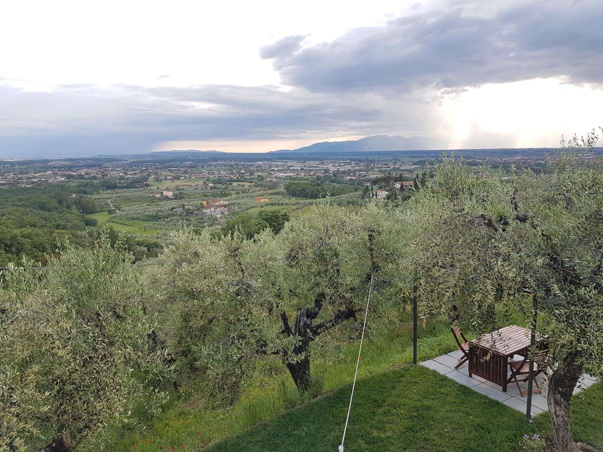 Il Fienile De La Cavallina Larciano Dış mekan fotoğraf
